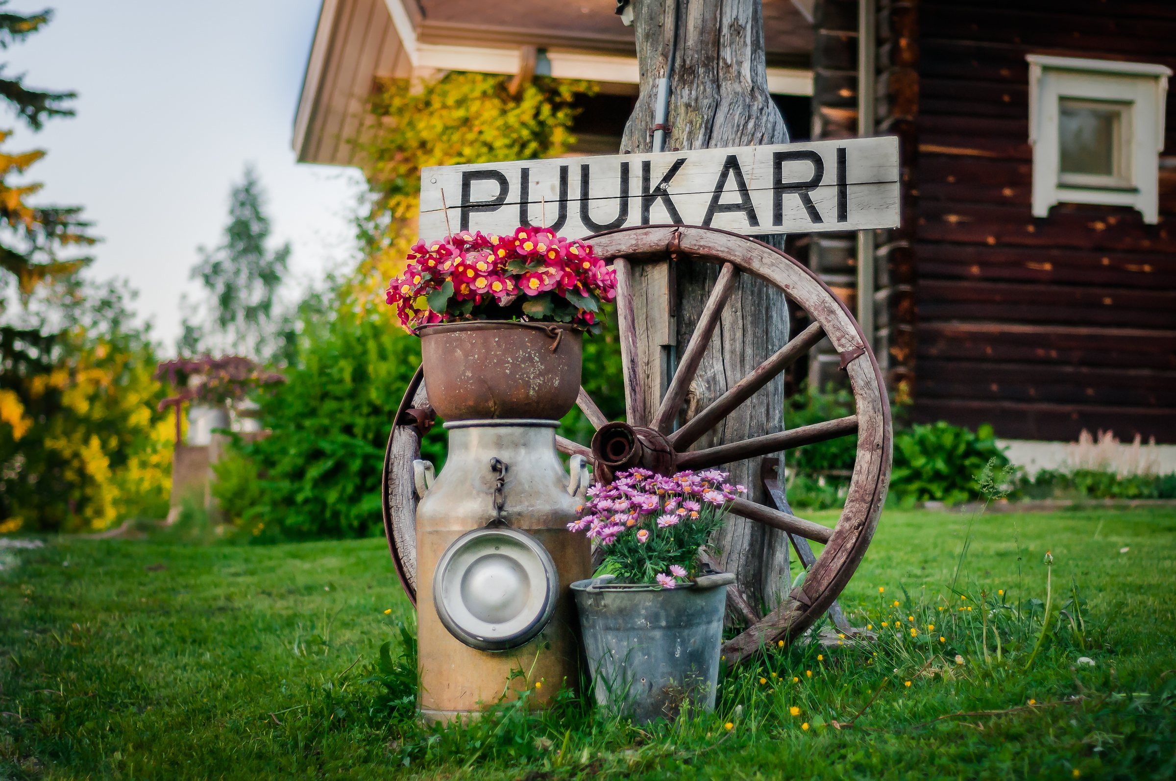 Puukarin Pysäkillä nautitaan luonnonrauhaa ja karjalaista luomuruokaa