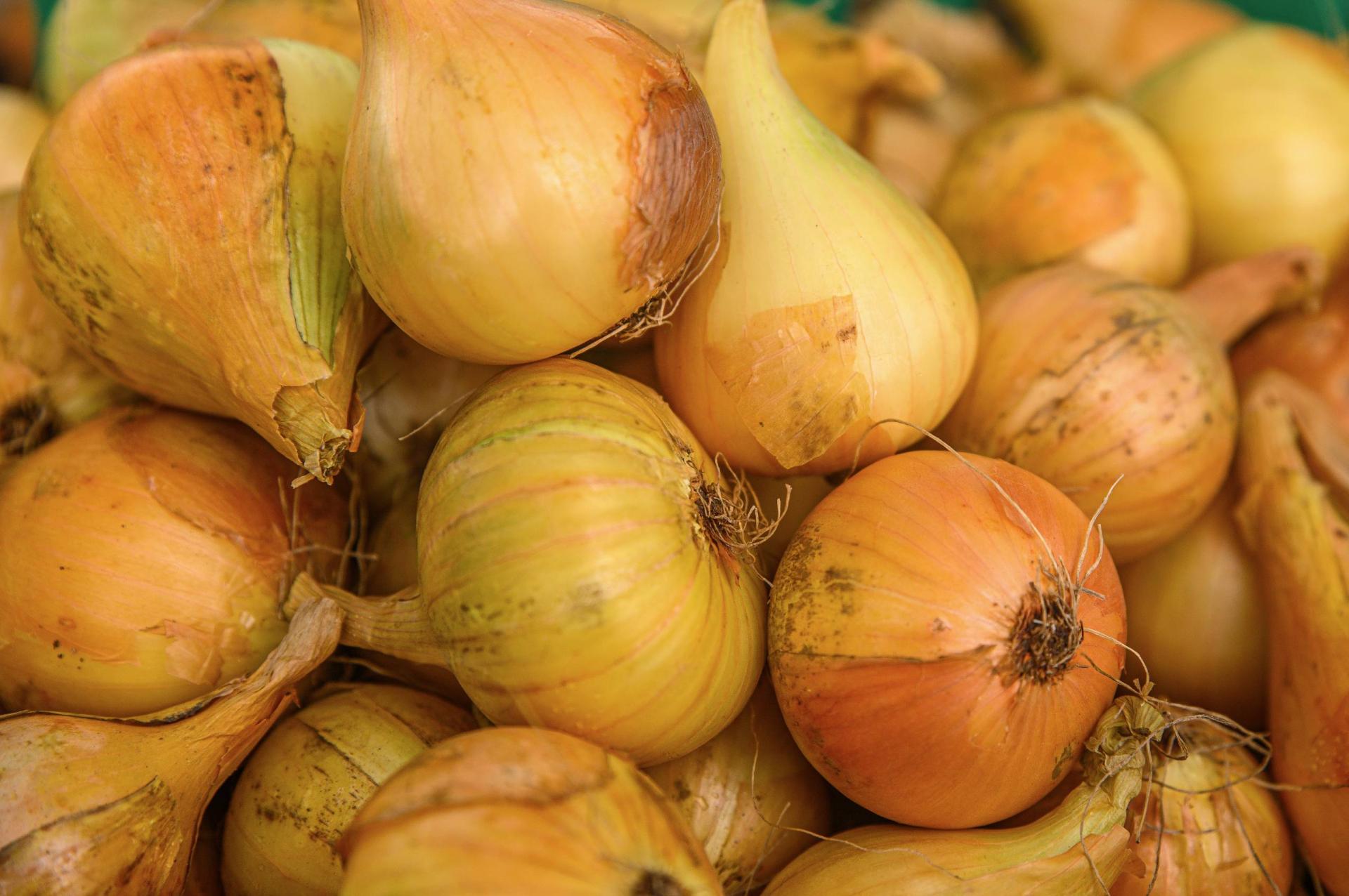 Kotimaista luomusipulia pakasteena saatavilla suurpakkauksissa. 